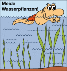 Meide Wasserpflanzen!